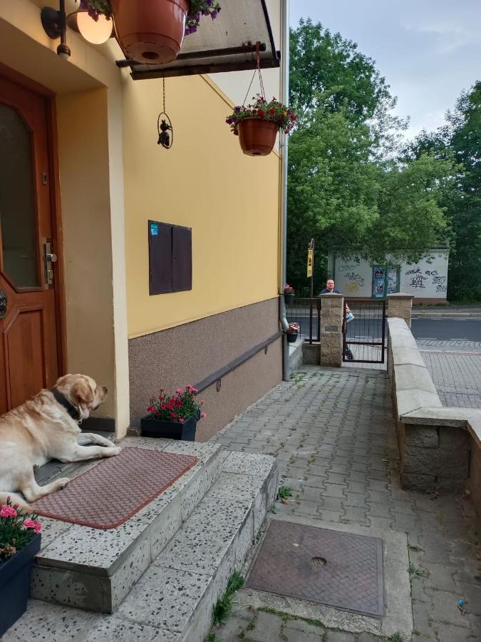 Hotel Msprivat Karlovy Vary Exterior foto