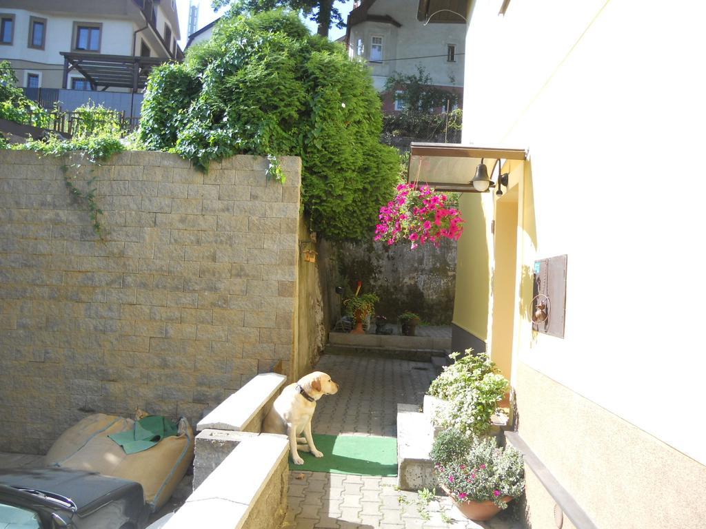 Hotel Msprivat Karlovy Vary Exterior foto